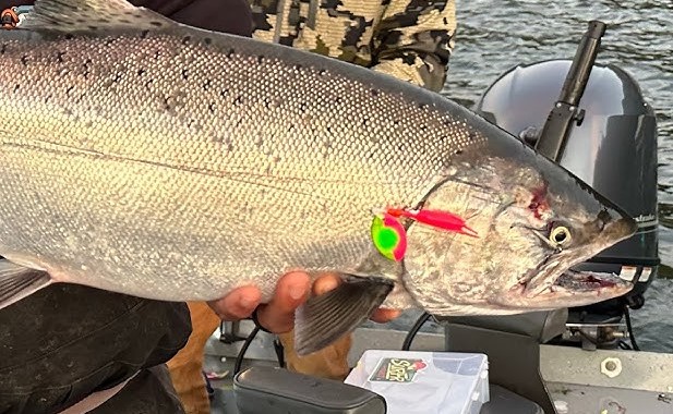 Best Rods for Salmon Fishing