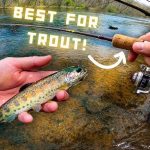 Best Rods for Trout Fishing