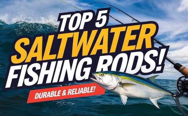 Best Saltwater Fishing Rods