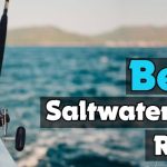 Best Saltwater Fly Rods