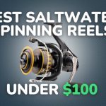 Best Saltwater Spinning Reels Under $100