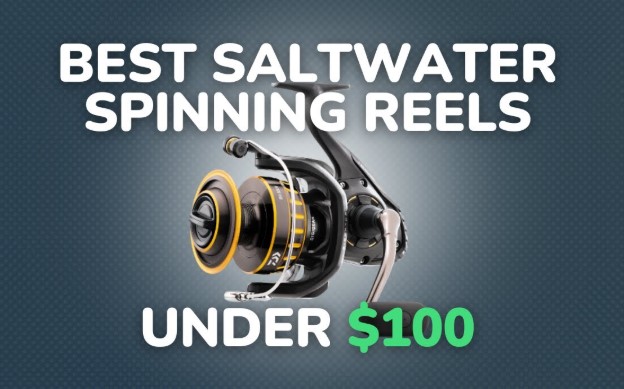 Best Saltwater Spinning Reels Under $100