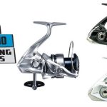 Best Shimano Saltwater Spinning Reels