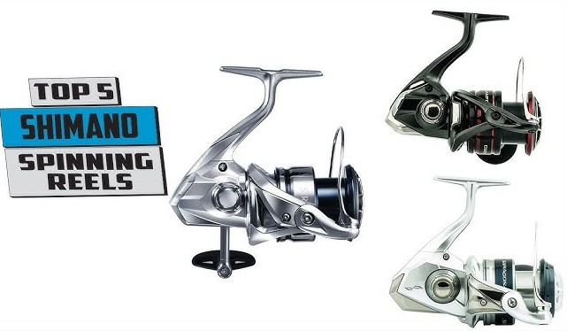 Best Shimano Saltwater Spinning Reels