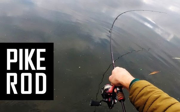 Best Spin Rods for Pike