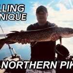 Best Spinning Reels for Northern Pike