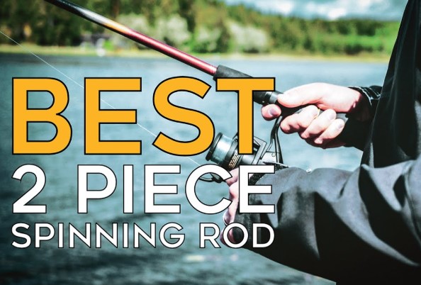 Best Two Piece Spinning Rods
