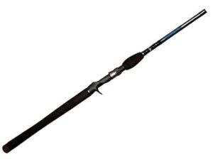 Dobyns Rods Champion XP Series