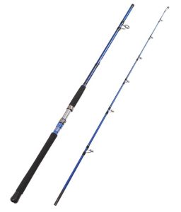 Fiblink 2-Piece Saltwater Spinning Fishing Rod
