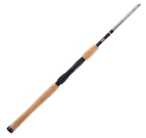 PENN Prevail III Inshore Spinning Rod