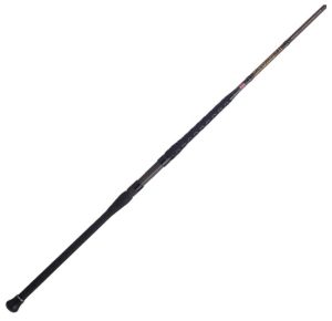 PENN Squadron III Surf Spinning Fishing Rod