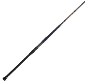 PENN Squadron III Surf Spinning Fishing Rod