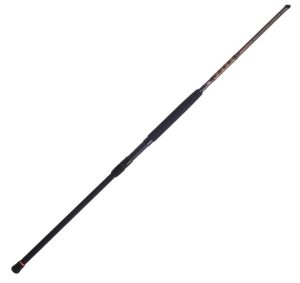 PENN Squadron III Surf Spinning Rod