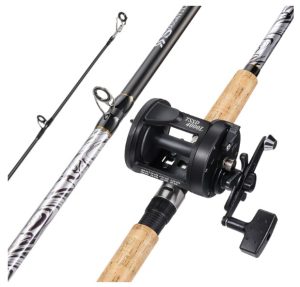 Sougayilang Fiberglass Salmon Fishing Pole