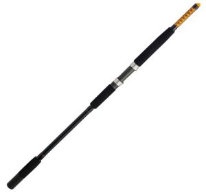 Ugly Stik Bigwater Spinning Fishing Rod