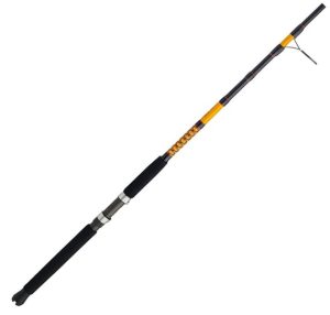 Ugly Stik Bigwater Spinning Fishing Rod