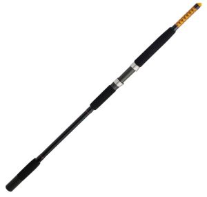 Ugly Stik Bigwater Spinning Fishing Rod