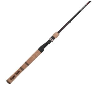 Ugly Stik Elite Spinning Fishing Rod