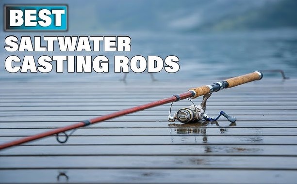 best saltwater casting rods
