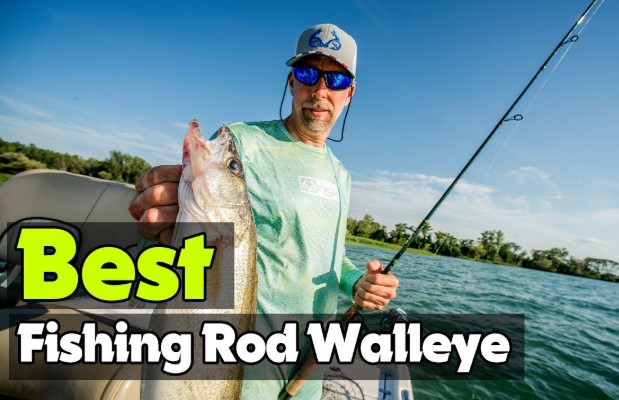 best walleye rods