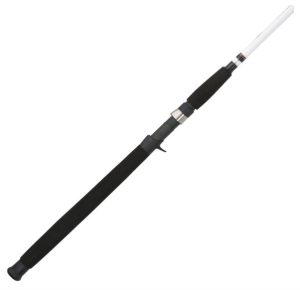 Berkley Big Game Casting Fishing Rod