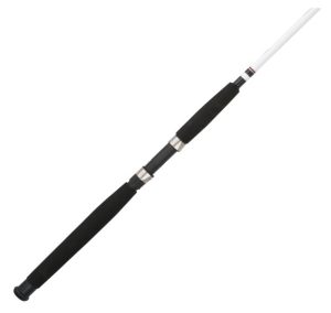 Berkley Big Game Spinning Fishing Rod