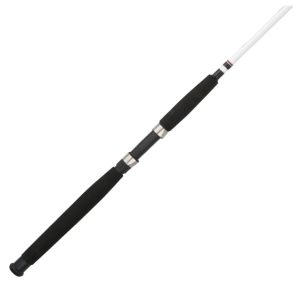 Berkley Big Game Spinning Fishing Rod