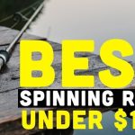 Best Spinning Rods Under $100