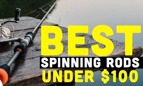 Best Spinning Rods Under $100