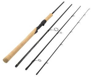 KastKing Valiant Eagle Passage Travel Fishing Rods