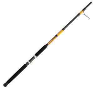Ugly Stik Bigwater Spinning Fishing Rod