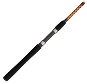 Ugly Stik Bigwater Spinning Fishing Rod
