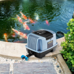 Best Pond Filters For Koi Pond – Top 4 Picks in 2026