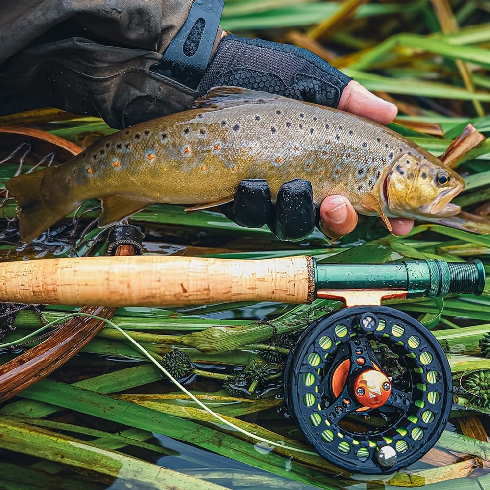 The 5 Best Fly Rods & Combos for Bass Fishing – Detailed Reviews