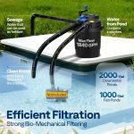 Best Koi Pond Filter Systems for Clean & Healthy Water