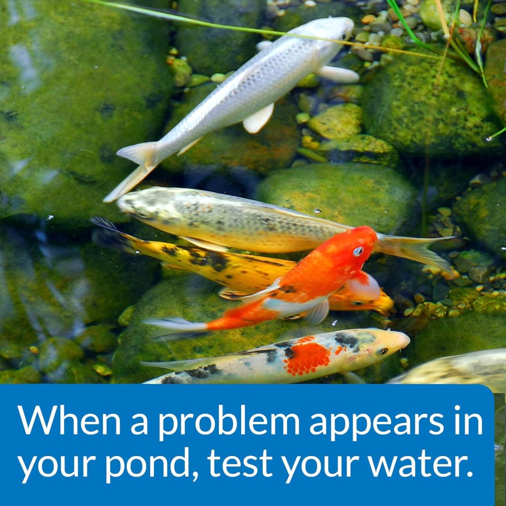 5 Best Koi Pond Water Test Kits – Precise Water Monitoring Tools