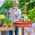 5 Best Solar Fountain Pumps for Bird Bath – Ultimate Garden Accessories Guide