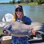 Best Artificial Lure for Catfish – Smart Strike Guide