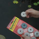 5 Best Algae Killers for Ponds – Clear Water Solutions