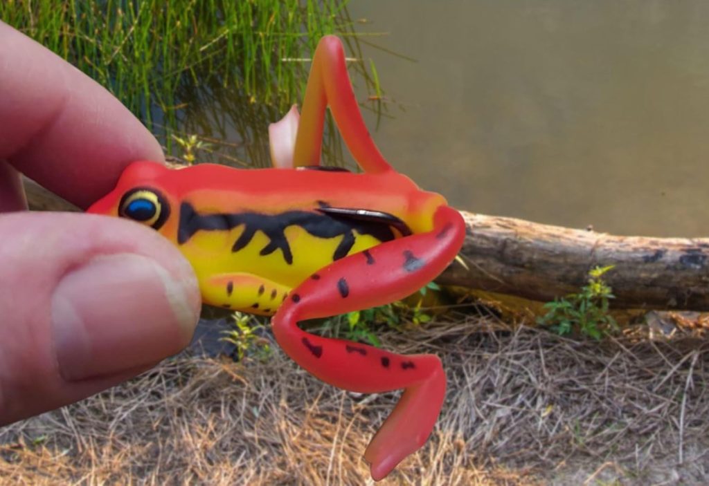 5 Best Bass Lures for Grassy Ponds – Top Picks Guide