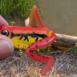 5 Best Bass Lures for Grassy Ponds – Top Picks Guide