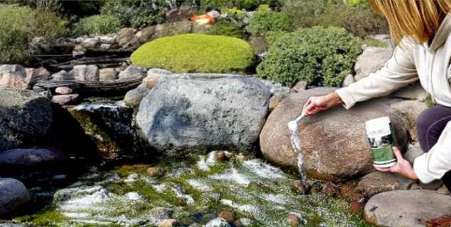 5 Best Pond Algae Removers Safe for Fish – 2026 Guide