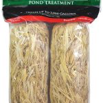 best algae eaters for ponds