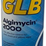 best algaecides for yellow algae