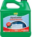best algae treatments for ponds