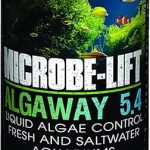 best algaecides for green algae