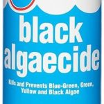 best algae removers for pools