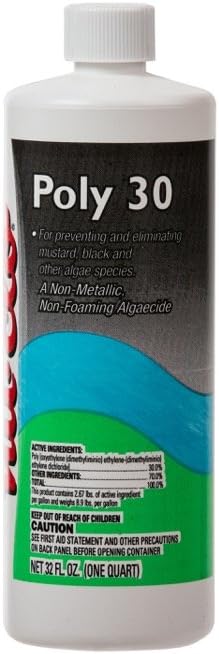 best algaecides for black algae