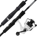 best spinning rod and reel combos for bass