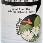 best fish pond algae removers